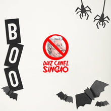 Load image into Gallery viewer, DIAZ CANEL SINGAO | stickers Bubble-free