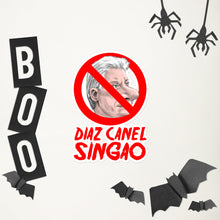 Load image into Gallery viewer, DIAZ CANEL SINGAO | stickers Bubble-free